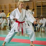 Wiener Karate Landesmeisterschaft 2016 in der in der PAHO-Halle, Jura-Soyfer-Gasse 3, 1100 Wien