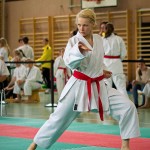 Wiener Karate Landesmeisterschaft 2016 in der in der PAHO-Halle, Jura-Soyfer-Gasse 3, 1100 Wien