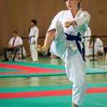 Wiener Karate Landesmeisterschaft 2016 in der in der PAHO-Halle, Jura-Soyfer-Gasse 3, 1100 Wien