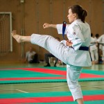 Wiener Karate Landesmeisterschaft 2016 in der in der PAHO-Halle, Jura-Soyfer-Gasse 3, 1100 Wien