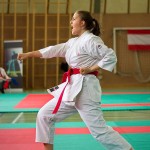 Wiener Karate Landesmeisterschaft 2016 in der in der PAHO-Halle, Jura-Soyfer-Gasse 3, 1100 Wien