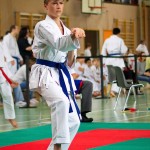 Wiener Karate Landesmeisterschaft 2016 in der in der PAHO-Halle, Jura-Soyfer-Gasse 3, 1100 Wien