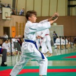 Wiener Karate Landesmeisterschaft 2016 in der in der PAHO-Halle, Jura-Soyfer-Gasse 3, 1100 Wien