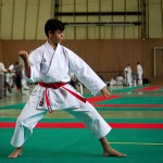 Wiener Karate Landesmeisterschaft 2016 in der in der PAHO-Halle, Jura-Soyfer-Gasse 3, 1100 Wien