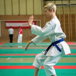 Wiener Karate Landesmeisterschaft 2016 in der in der PAHO-Halle, Jura-Soyfer-Gasse 3, 1100 Wien