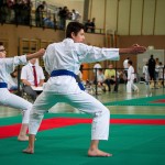 Wiener Karate Landesmeisterschaft 2016 in der in der PAHO-Halle, Jura-Soyfer-Gasse 3, 1100 Wien