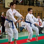 Wiener Karate Landesmeisterschaft 2016 in der in der PAHO-Halle, Jura-Soyfer-Gasse 3, 1100 Wien