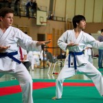 Wiener Karate Landesmeisterschaft 2016 in der in der PAHO-Halle, Jura-Soyfer-Gasse 3, 1100 Wien