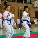 Wiener Karate Landesmeisterschaft 2016 in der in der PAHO-Halle, Jura-Soyfer-Gasse 3, 1100 Wien