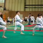 Wiener Karate Landesmeisterschaft 2016 in der in der PAHO-Halle, Jura-Soyfer-Gasse 3, 1100 Wien