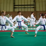 Wiener Karate Landesmeisterschaft 2016 in der in der PAHO-Halle, Jura-Soyfer-Gasse 3, 1100 Wien