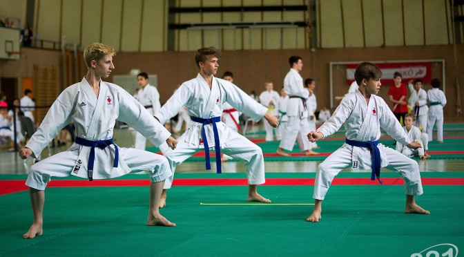 Wiener Karate Landesmeisterschaft 2016 in der in der PAHO-Halle, Jura-Soyfer-Gasse 3, 1100 Wien