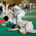 Wiener Karate Landesmeisterschaft 2016 in der in der PAHO-Halle, Jura-Soyfer-Gasse 3, 1100 Wien