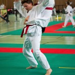 Wiener Karate Landesmeisterschaft 2016 in der in der PAHO-Halle, Jura-Soyfer-Gasse 3, 1100 Wien