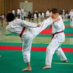 Wiener Karate Landesmeisterschaft 2016 in der in der PAHO-Halle, Jura-Soyfer-Gasse 3, 1100 Wien