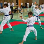 Wiener Karate Landesmeisterschaft 2016 in der in der PAHO-Halle, Jura-Soyfer-Gasse 3, 1100 Wien