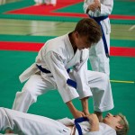 Wiener Karate Landesmeisterschaft 2016 in der in der PAHO-Halle, Jura-Soyfer-Gasse 3, 1100 Wien