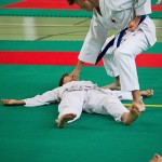 Wiener Karate Landesmeisterschaft 2016 in der in der PAHO-Halle, Jura-Soyfer-Gasse 3, 1100 Wien