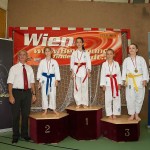 Wiener Karate Landesmeisterschaft 2016 in der in der PAHO-Halle, Jura-Soyfer-Gasse 3, 1100 Wien