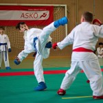 Wiener Karate Landesmeisterschaft 2016 in der in der PAHO-Halle, Jura-Soyfer-Gasse 3, 1100 Wien