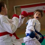 Wiener Karate Landesmeisterschaft 2016 in der in der PAHO-Halle, Jura-Soyfer-Gasse 3, 1100 Wien