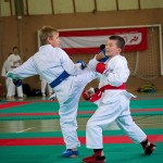 Wiener Karate Landesmeisterschaft 2016 in der in der PAHO-Halle, Jura-Soyfer-Gasse 3, 1100 Wien