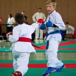 Wiener Karate Landesmeisterschaft 2016 in der in der PAHO-Halle, Jura-Soyfer-Gasse 3, 1100 Wien