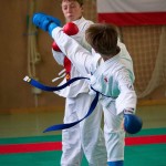 Wiener Karate Landesmeisterschaft 2016 in der in der PAHO-Halle, Jura-Soyfer-Gasse 3, 1100 Wien