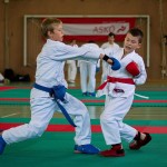 Wiener Karate Landesmeisterschaft 2016 in der in der PAHO-Halle, Jura-Soyfer-Gasse 3, 1100 Wien