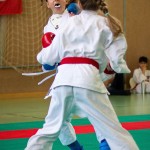 Wiener Karate Landesmeisterschaft 2016 in der in der PAHO-Halle, Jura-Soyfer-Gasse 3, 1100 Wien