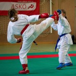 Wiener Karate Landesmeisterschaft 2016 in der in der PAHO-Halle, Jura-Soyfer-Gasse 3, 1100 Wien