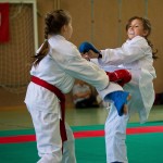 Wiener Karate Landesmeisterschaft 2016 in der in der PAHO-Halle, Jura-Soyfer-Gasse 3, 1100 Wien