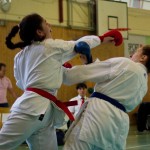 Wiener Karate Landesmeisterschaft 2016 in der in der PAHO-Halle, Jura-Soyfer-Gasse 3, 1100 Wien