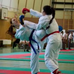 Wiener Karate Landesmeisterschaft 2016 in der in der PAHO-Halle, Jura-Soyfer-Gasse 3, 1100 Wien