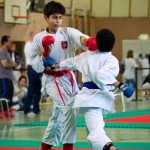 Wiener Karate Landesmeisterschaft 2016 in der in der PAHO-Halle, Jura-Soyfer-Gasse 3, 1100 Wien