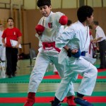 Wiener Karate Landesmeisterschaft 2016 in der in der PAHO-Halle, Jura-Soyfer-Gasse 3, 1100 Wien