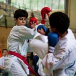 Wiener Karate Landesmeisterschaft 2016 in der in der PAHO-Halle, Jura-Soyfer-Gasse 3, 1100 Wien