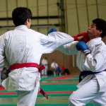 Wiener Karate Landesmeisterschaft 2016 in der in der PAHO-Halle, Jura-Soyfer-Gasse 3, 1100 Wien