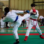 Wiener Karate Landesmeisterschaft 2016 in der in der PAHO-Halle, Jura-Soyfer-Gasse 3, 1100 Wien