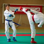 Wiener Karate Landesmeisterschaft 2016 in der in der PAHO-Halle, Jura-Soyfer-Gasse 3, 1100 Wien