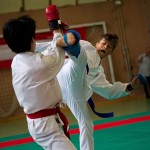 Wiener Karate Landesmeisterschaft 2016 in der in der PAHO-Halle, Jura-Soyfer-Gasse 3, 1100 Wien