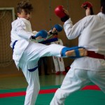 Wiener Karate Landesmeisterschaft 2016 in der in der PAHO-Halle, Jura-Soyfer-Gasse 3, 1100 Wien