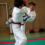 Wiener Karate Landesmeisterschaft 2016 in der in der PAHO-Halle, Jura-Soyfer-Gasse 3, 1100 Wien