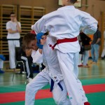 Wiener Karate Landesmeisterschaft 2016 in der in der PAHO-Halle, Jura-Soyfer-Gasse 3, 1100 Wien