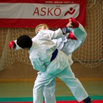 Wiener Karate Landesmeisterschaft 2016 in der in der PAHO-Halle, Jura-Soyfer-Gasse 3, 1100 Wien