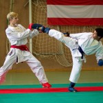 Wiener Karate Landesmeisterschaft 2016 in der in der PAHO-Halle, Jura-Soyfer-Gasse 3, 1100 Wien