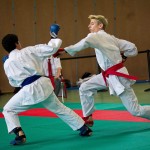 Wiener Karate Landesmeisterschaft 2016 in der in der PAHO-Halle, Jura-Soyfer-Gasse 3, 1100 Wien