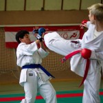 Wiener Karate Landesmeisterschaft 2016 in der in der PAHO-Halle, Jura-Soyfer-Gasse 3, 1100 Wien