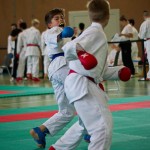 Wiener Karate Landesmeisterschaft 2016 in der in der PAHO-Halle, Jura-Soyfer-Gasse 3, 1100 Wien