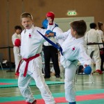 Wiener Karate Landesmeisterschaft 2016 in der in der PAHO-Halle, Jura-Soyfer-Gasse 3, 1100 Wien